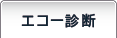エコー診断