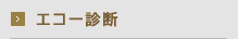 エコー診断
