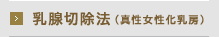 乳腺切除法（真性女性化乳房） 