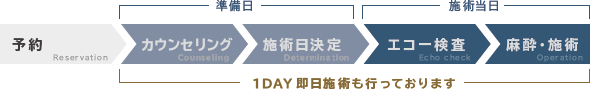 1.予約／2.カウンセリング／3.施術日決定／4.エコー検査／5.麻酔・施術