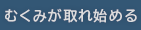 むくみが取れ始める