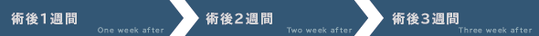 1.術後1週間／2.術後2週間／3.術後3週間