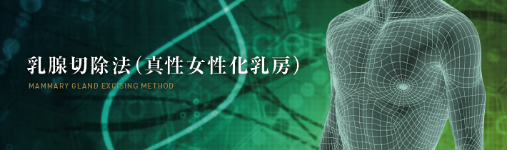 乳腺切除法（真性女性化乳房） 