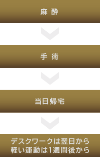 麻酔・手術・当日帰宅・約１週間後から復帰（※デスクワークや日常生活程度の動き）
