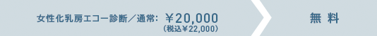 女性化乳房エコー診断/通常:¥20,000(税込¥22,000)が無料