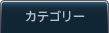 カテゴリー